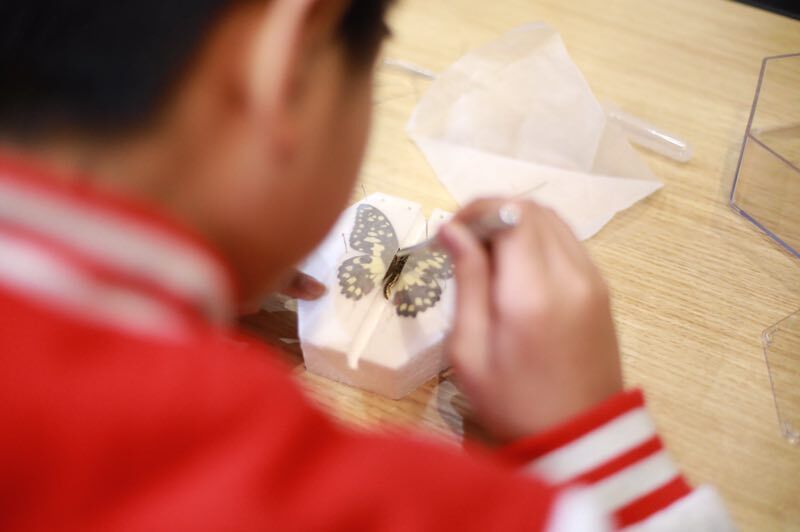 电子游戏app下载安装