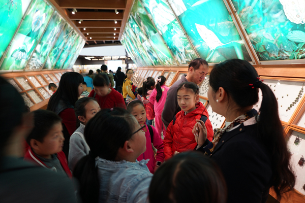 电子游戏app下载安装