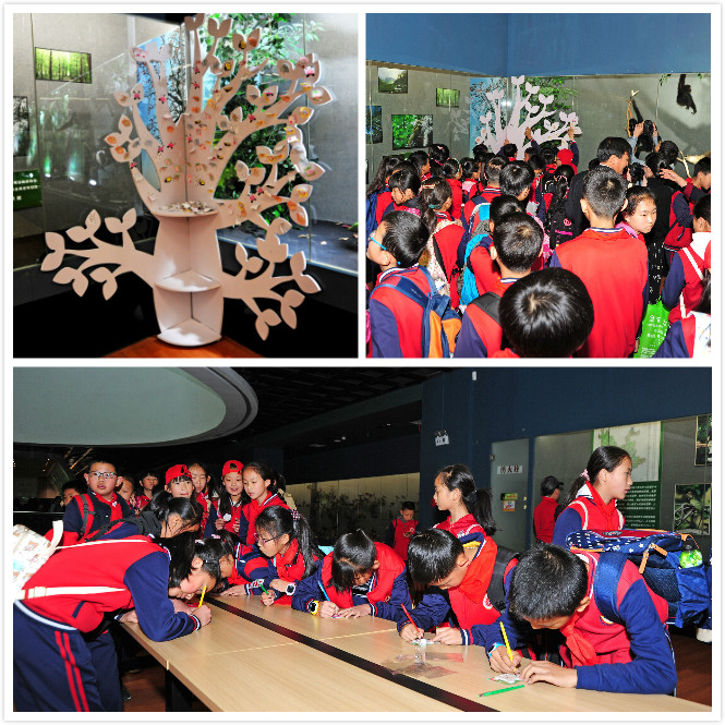 电子游戏app下载安装