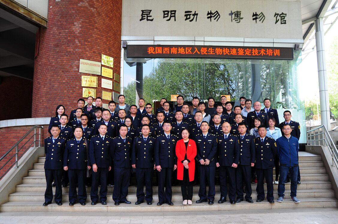 电子游戏app下载安装