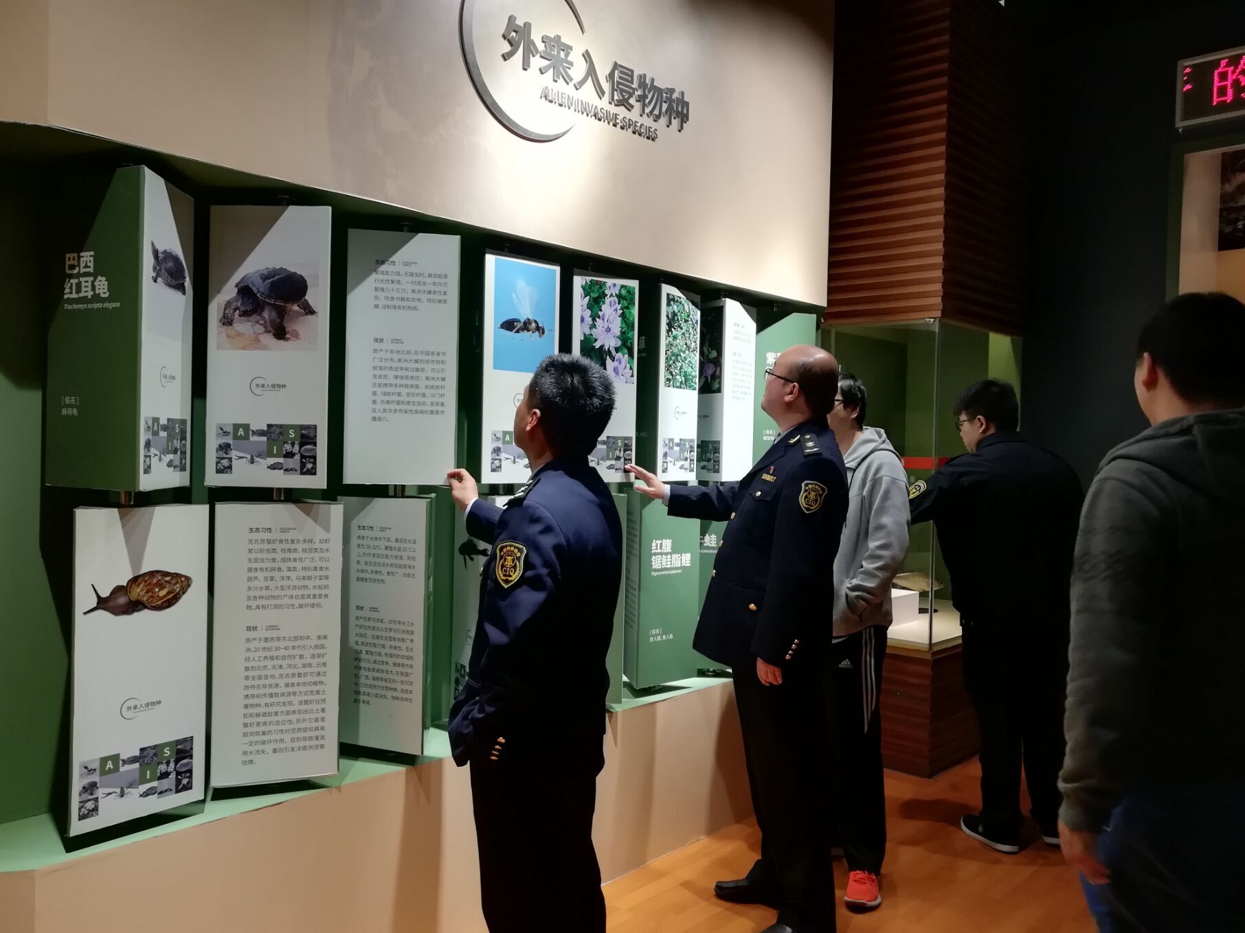 电子游戏app下载安装