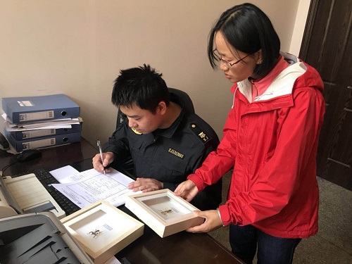 电子游戏app下载安装