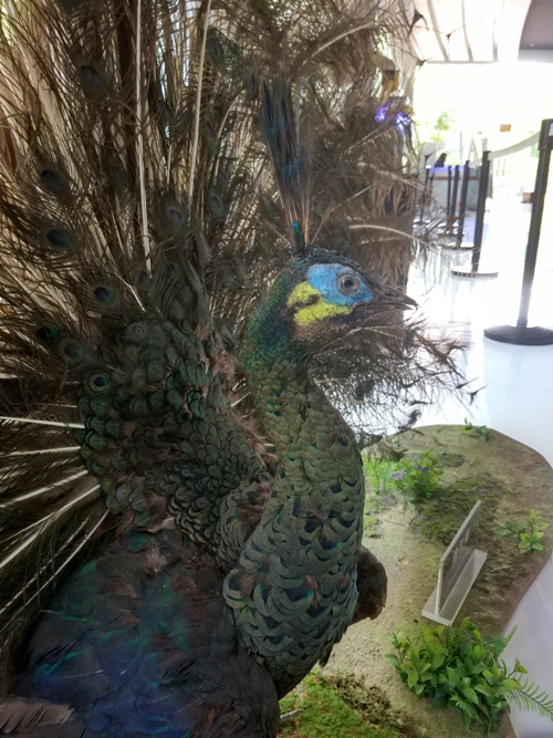 电子游戏app下载安装