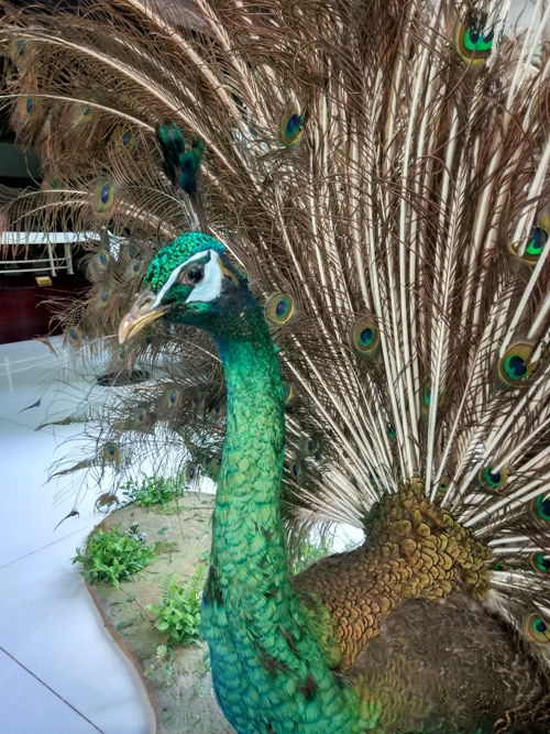 电子游戏app下载安装