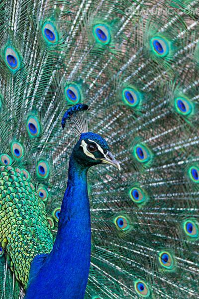 电子游戏app下载安装