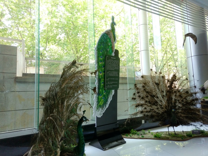 电子游戏app下载安装