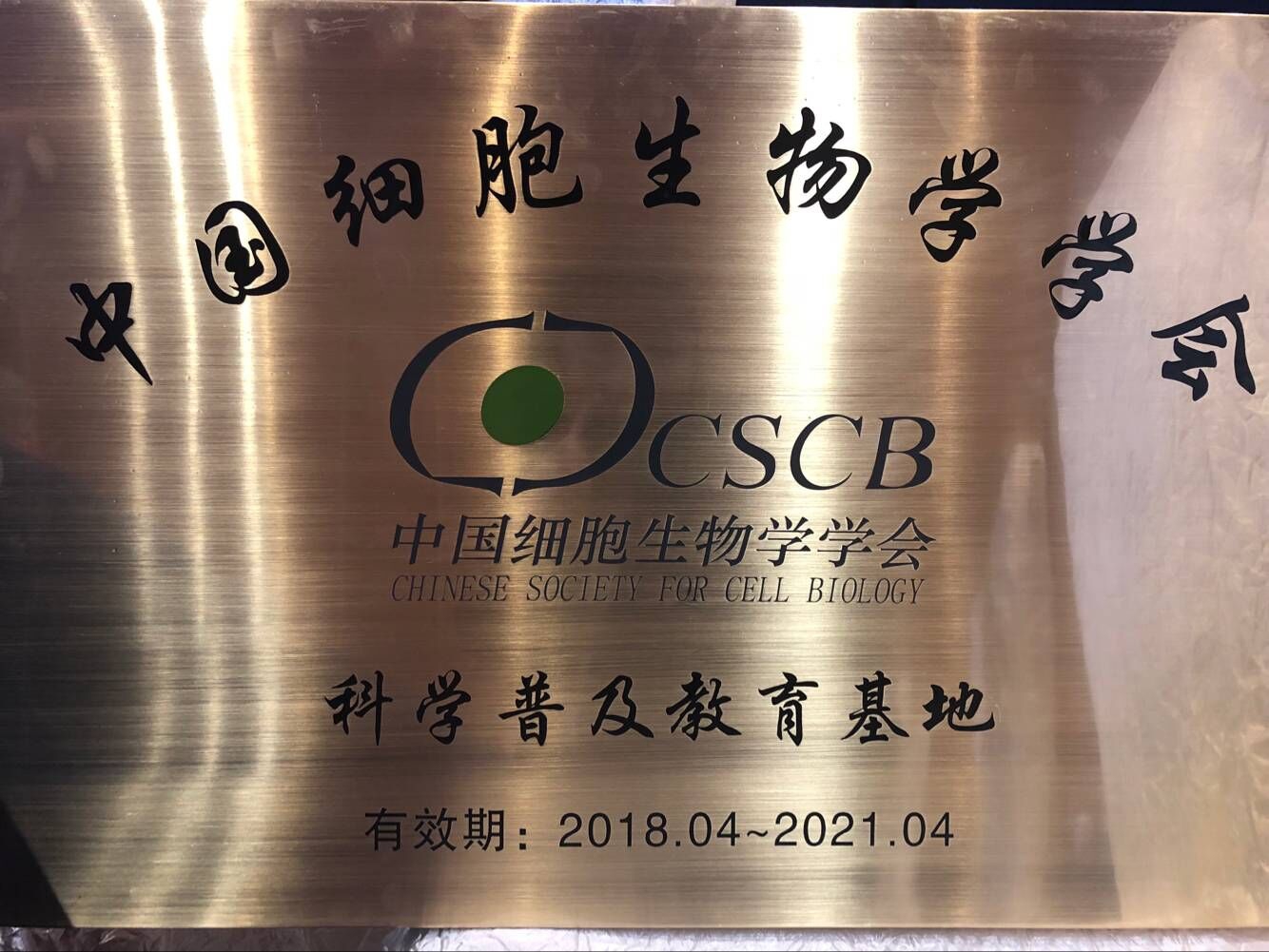 电子游戏app下载安装