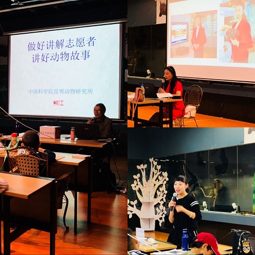 电子游戏app下载安装