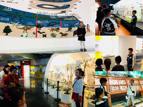 电子游戏app下载安装