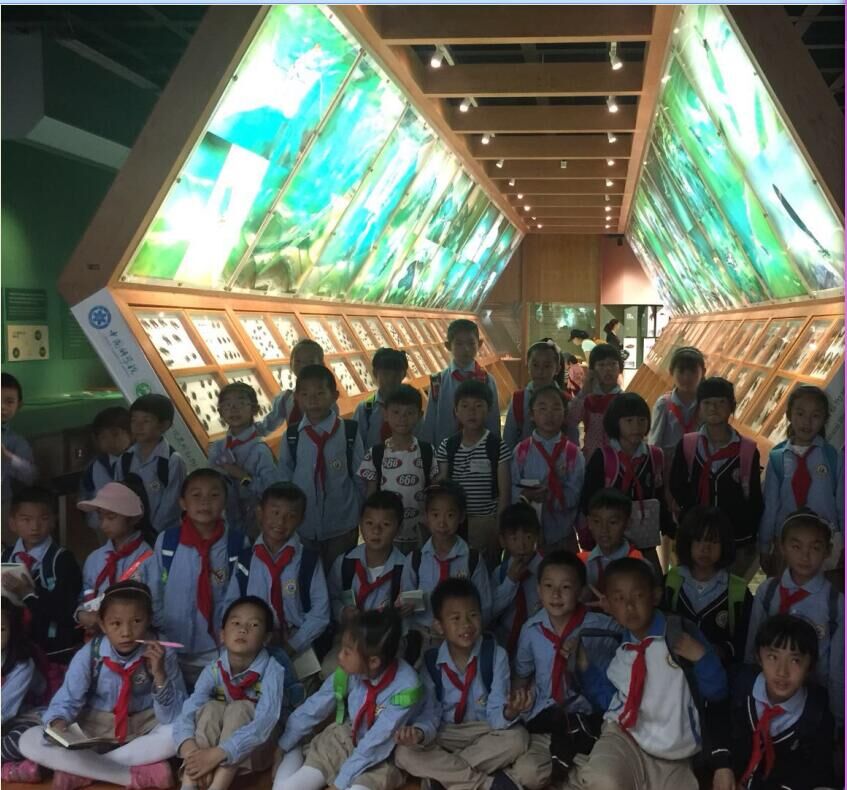 电子游戏app下载安装