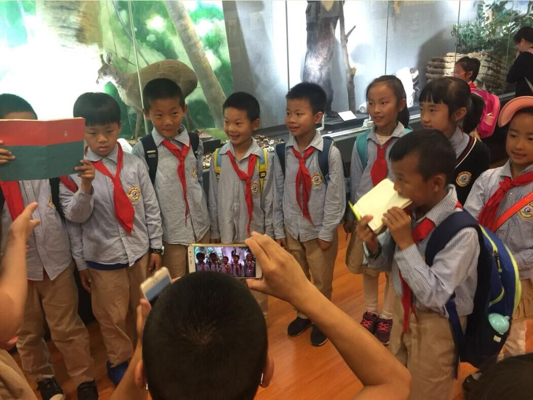 电子游戏app下载安装