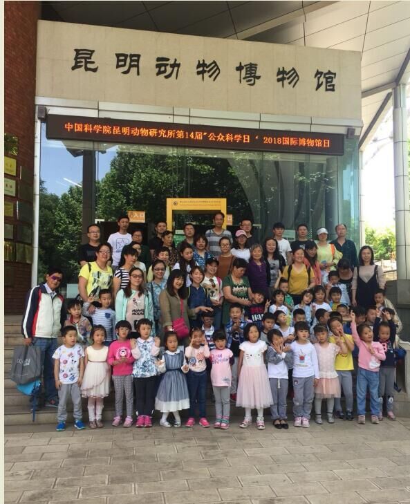 电子游戏app下载安装