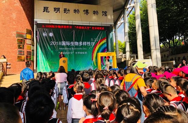 电子游戏app下载安装