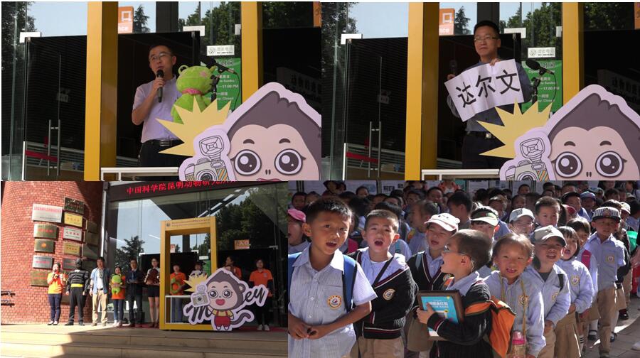 电子游戏app下载安装