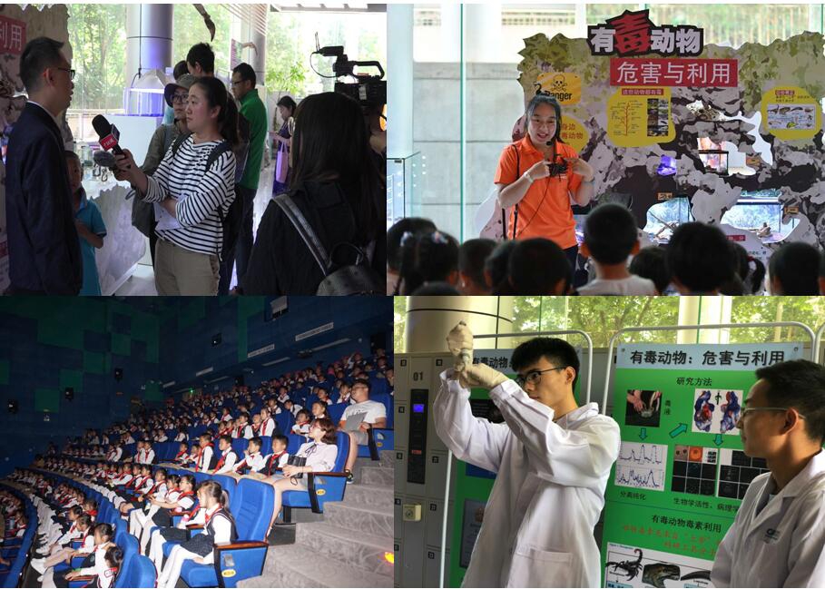 电子游戏app下载安装