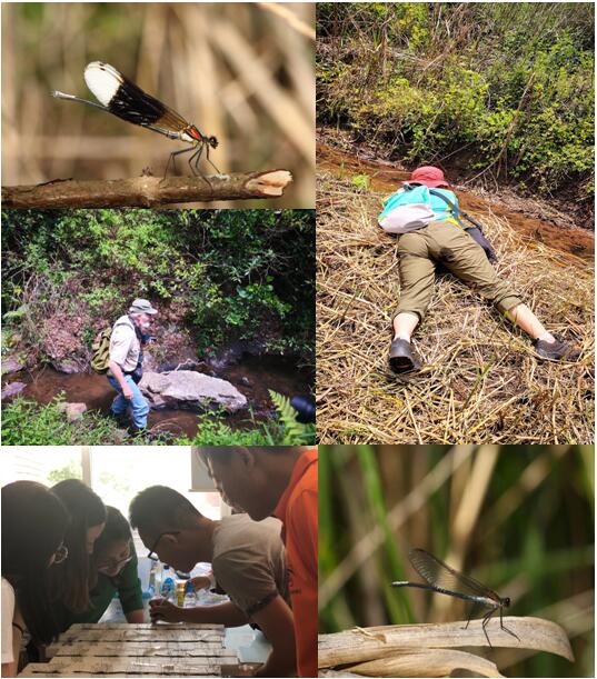 电子游戏app下载安装