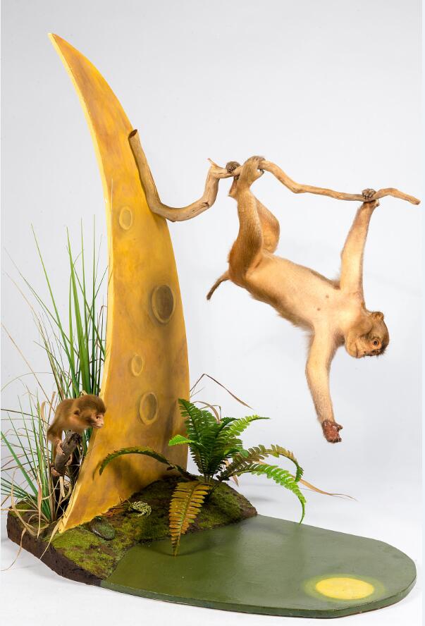 电子游戏app下载安装