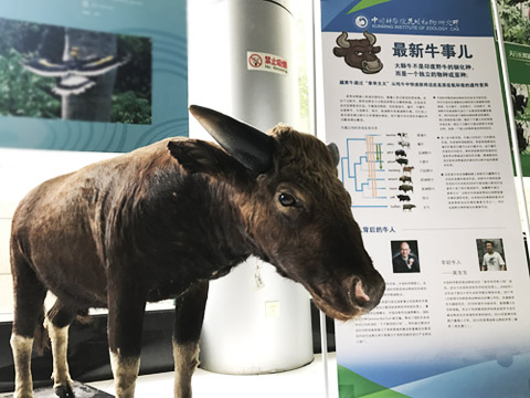 电子游戏app下载安装