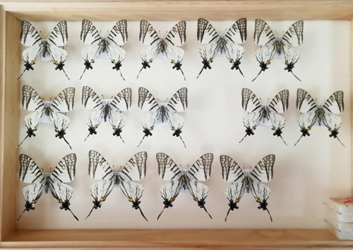 电子游戏app下载安装