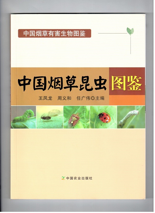 电子游戏app下载安装