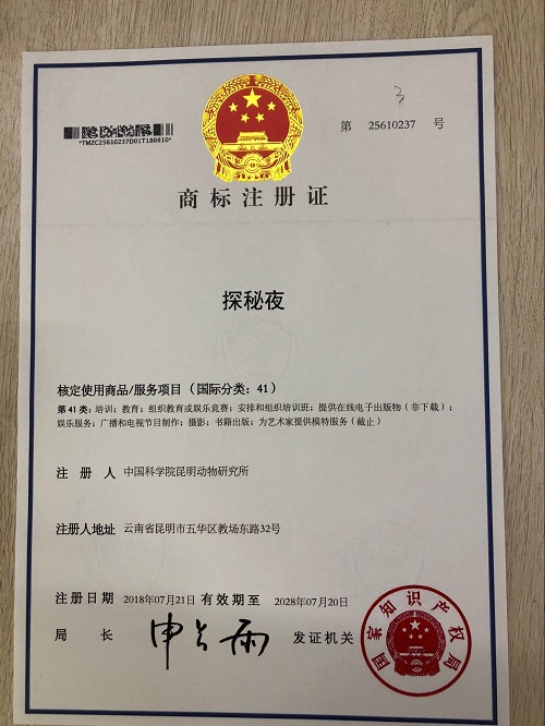 电子游戏app下载安装