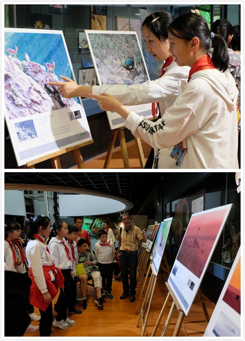 电子游戏app下载安装