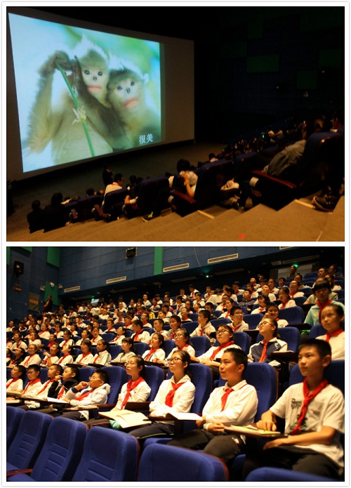 电子游戏app下载安装