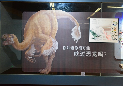 电子游戏app下载安装