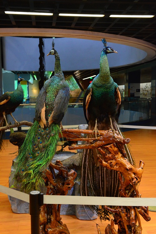 电子游戏app下载安装