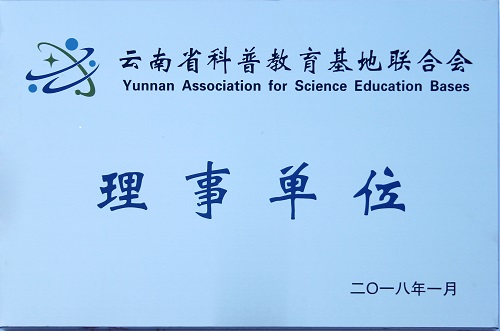 电子游戏app下载安装