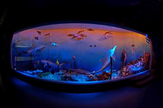 电子游戏app下载安装