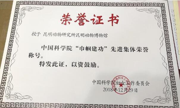 电子游戏app下载安装