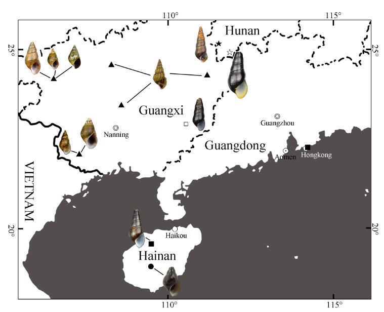 电子游戏app下载安装