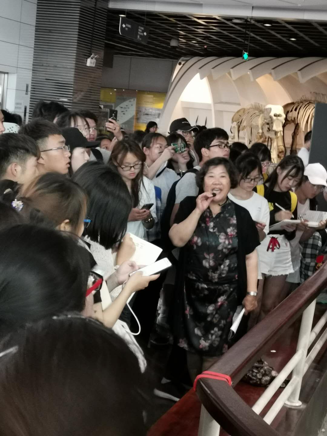 电子游戏app下载安装