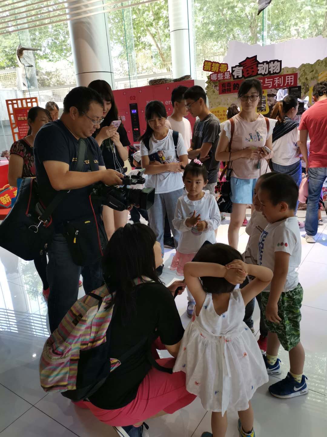 电子游戏app下载安装