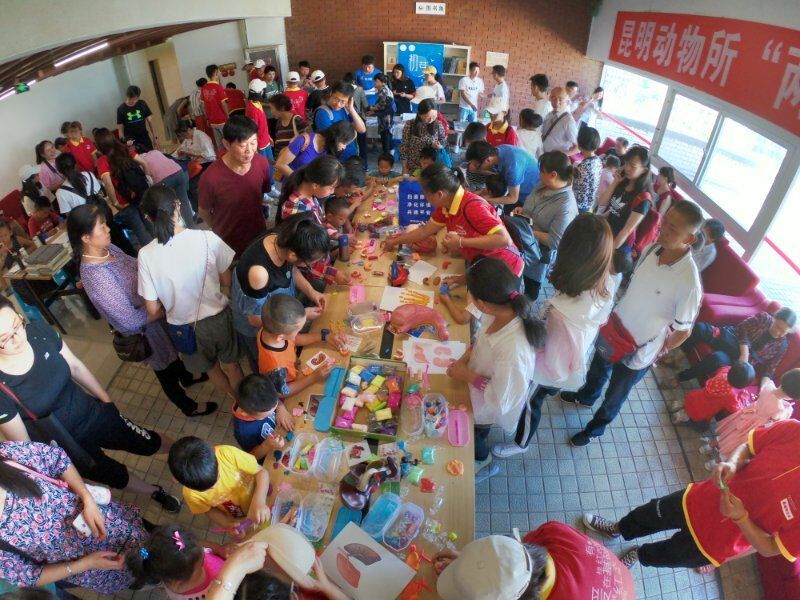 电子游戏app下载安装