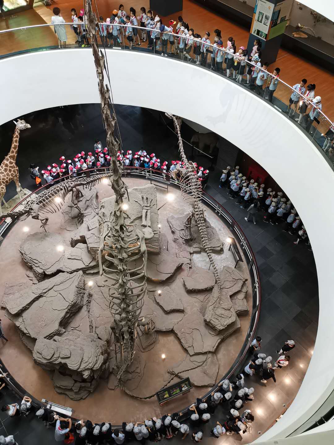 电子游戏app下载安装