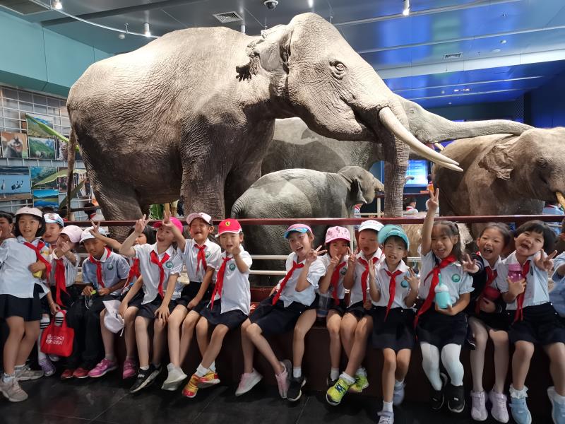 电子游戏app下载安装