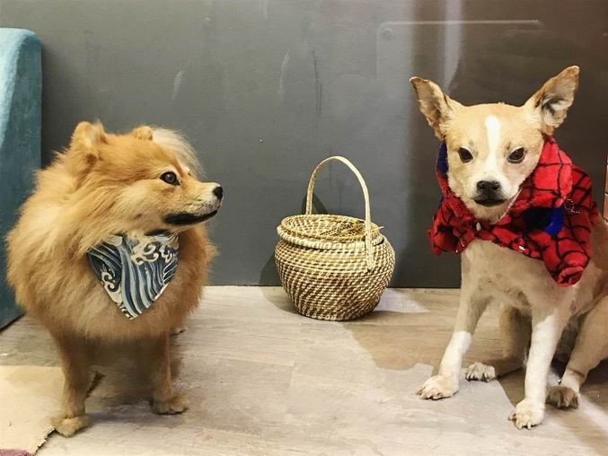 电子游戏app下载安装