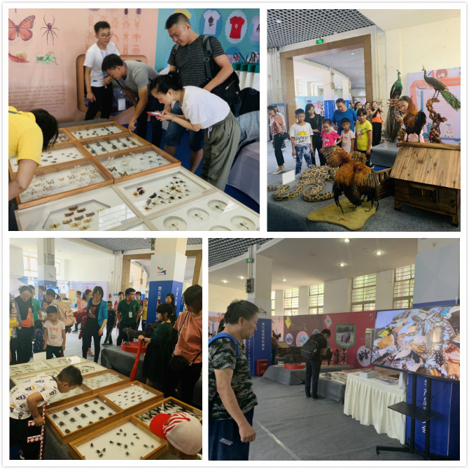 电子游戏app下载安装