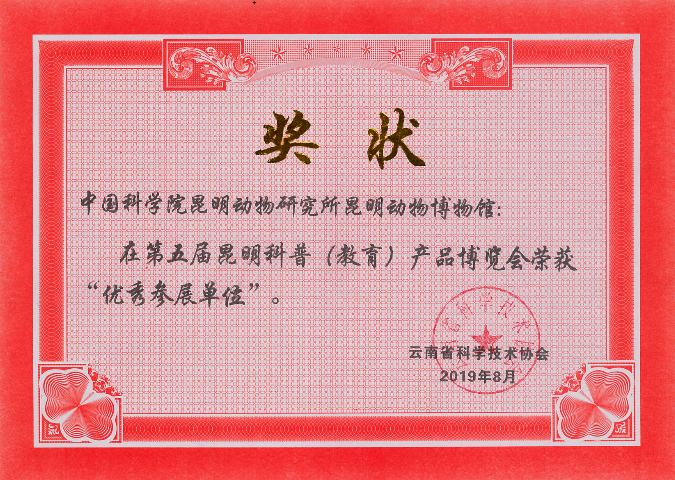 电子游戏app下载安装