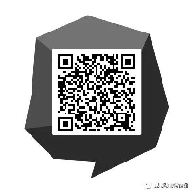 电子游戏app下载安装