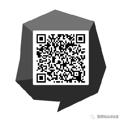 电子游戏app下载安装