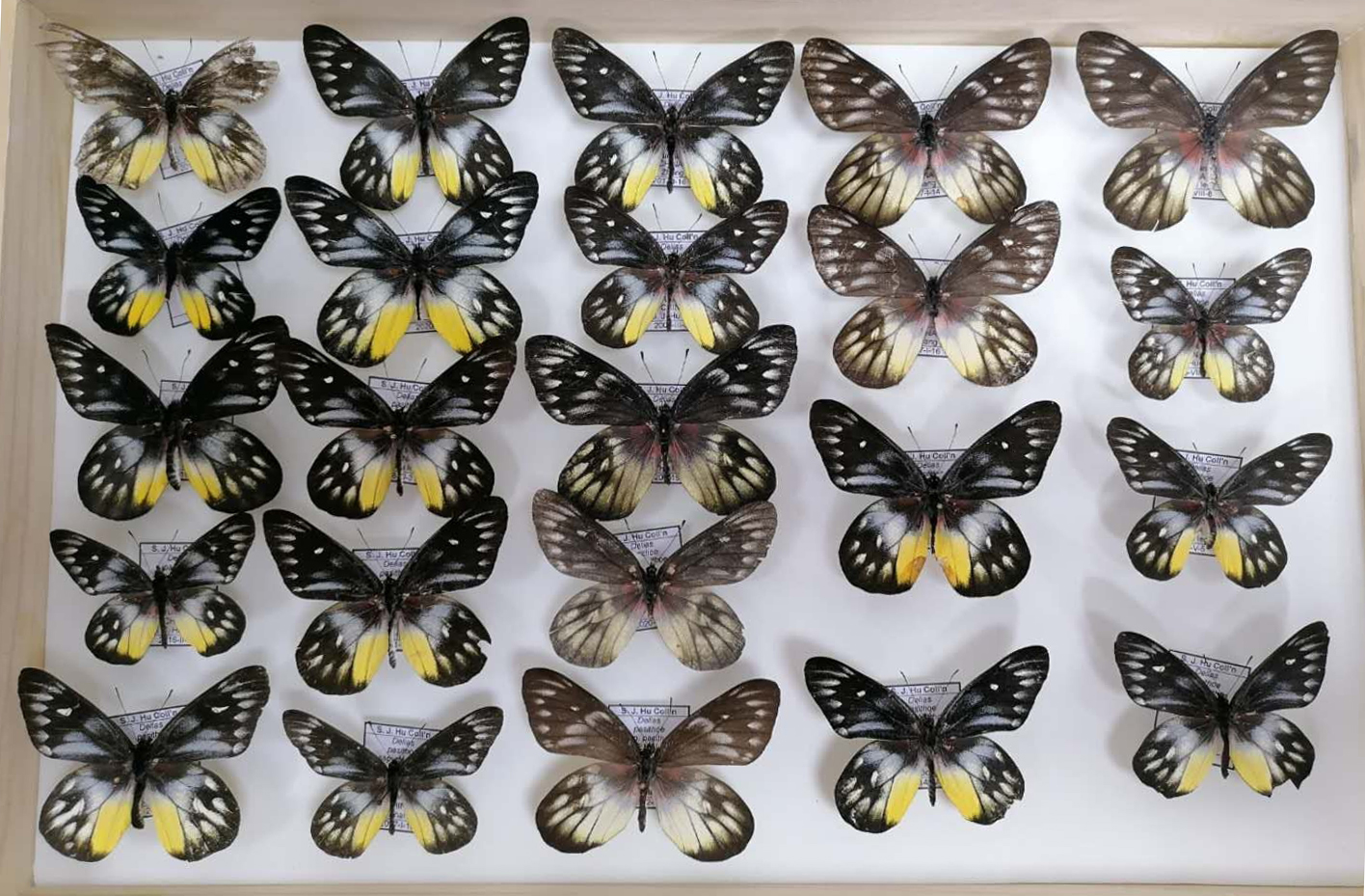 2020.03- 电子游戏app下载安装