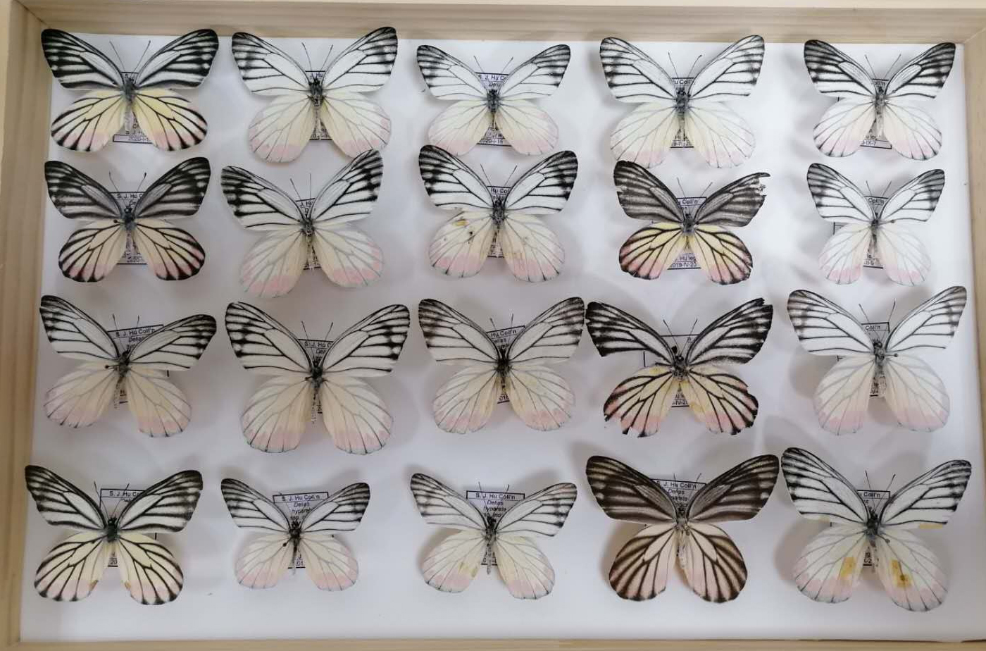 2020.03-1 电子游戏app下载安装