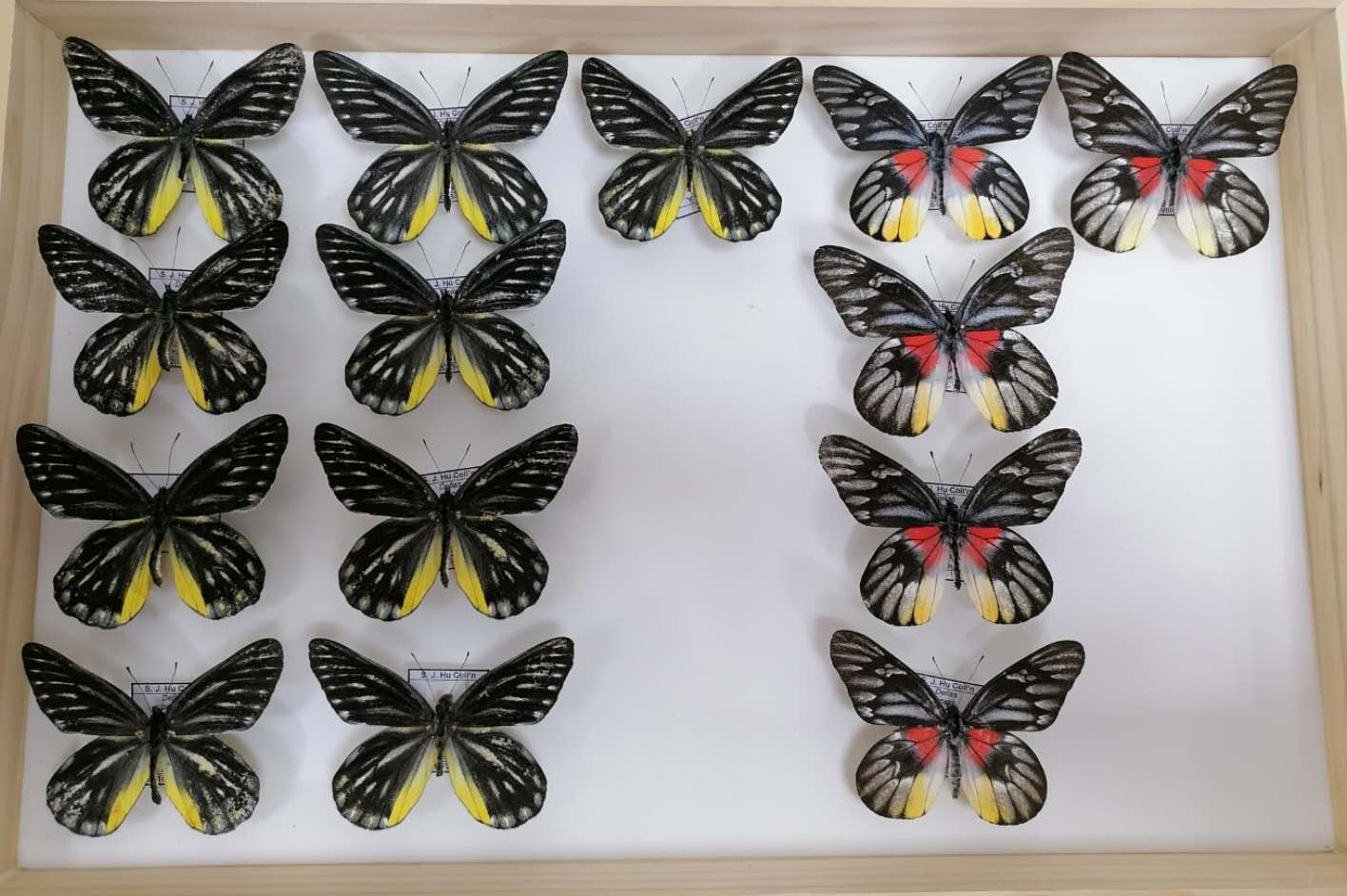 2020.03-2 电子游戏app下载安装