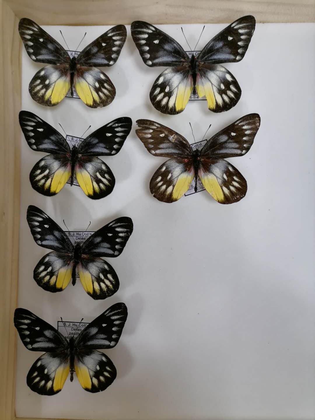 2020.3 电子游戏app下载安装