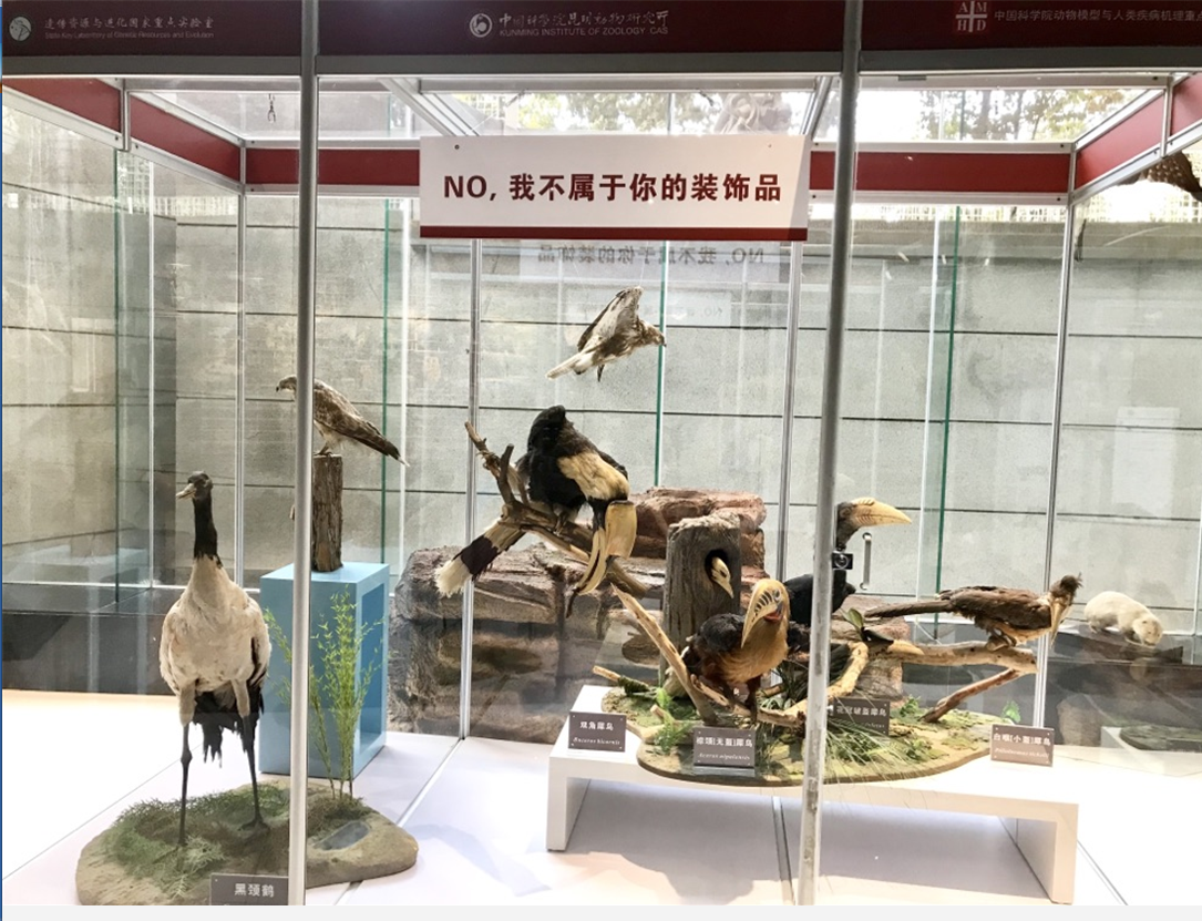 图片2 电子游戏app下载安装