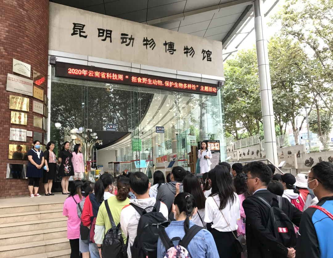 图片3 电子游戏app下载安装