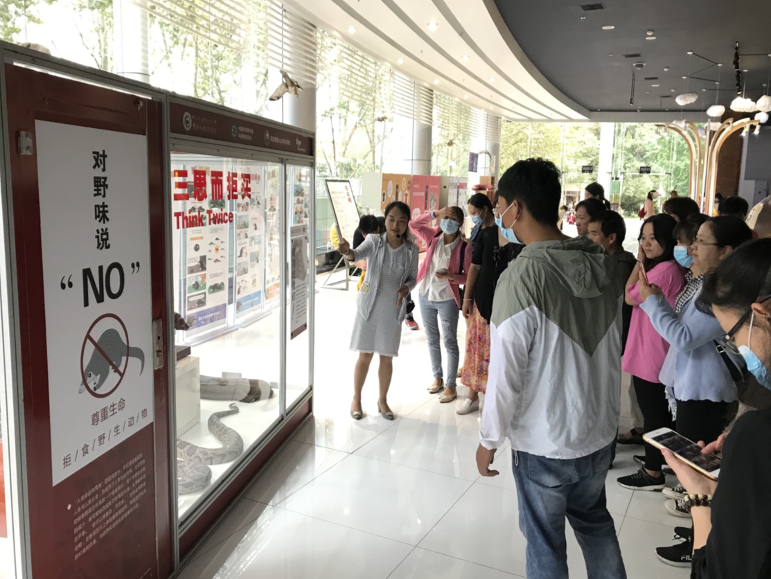 图片4 电子游戏app下载安装